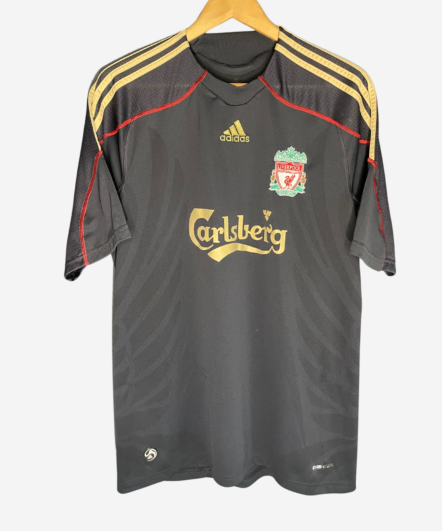 Liverpool FC 2009/10 Torres Away Kit (L)